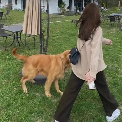 绝战狼女